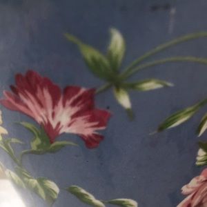 Meet your Posher, Graceanne